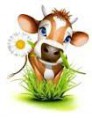 Petite vache #1